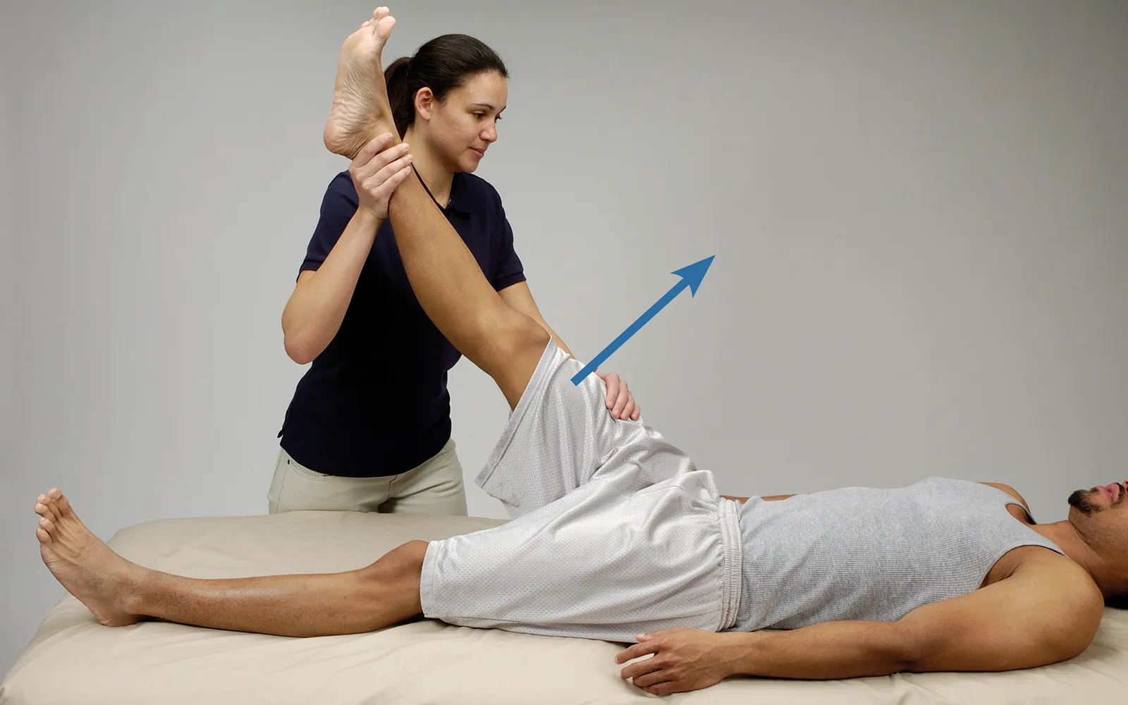 MJ_16_FunctionalAnatomy_Secondary1_1600