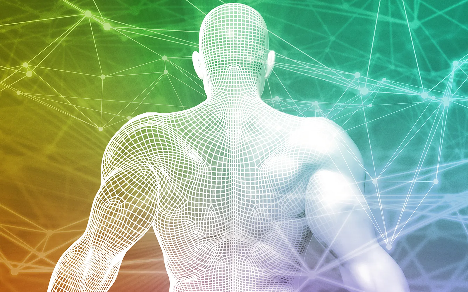 Kinesiology for the Massage Therapist Teaser Image