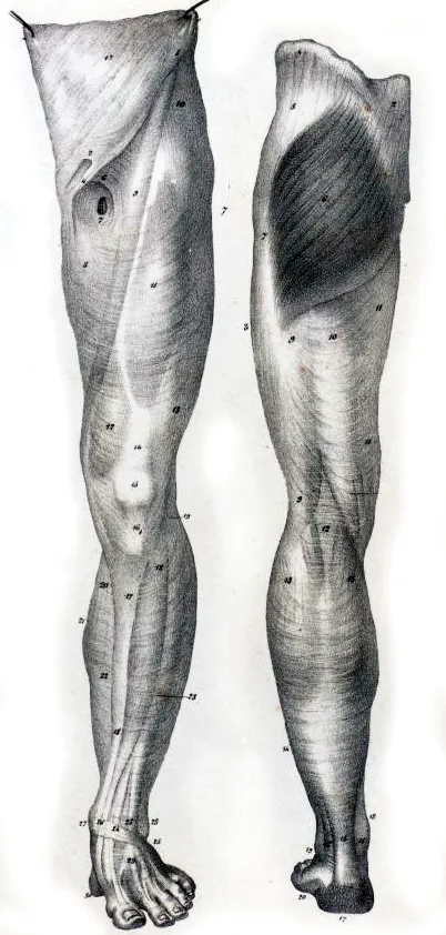 MJ_16_Myofascial2_1600