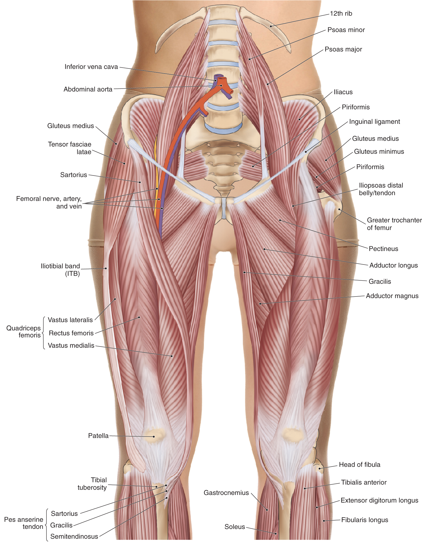 MA_16_IntegratingScience1_1600 MA_16_IntegratingScience1_1600