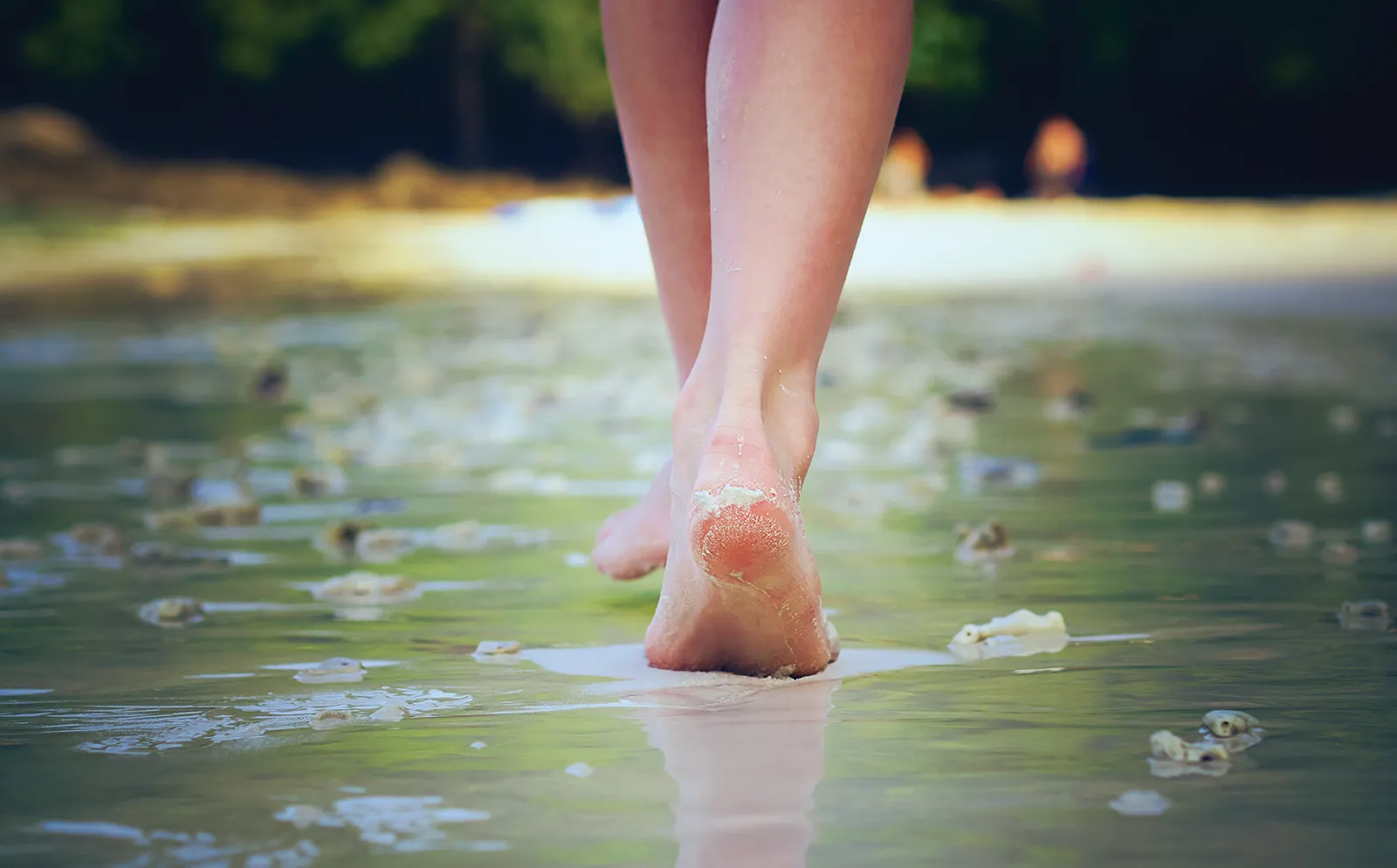 MA_16_Earthing_Secondary2_shutterstock_1600 MA_16_Earthing_Secondary2_shutterstock_1600