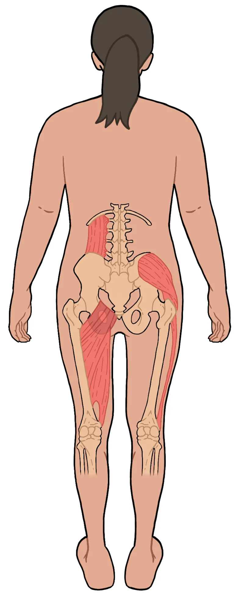JF21_ResolvingWounds_Pelvis3