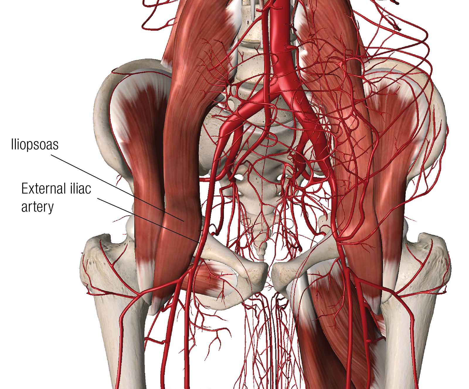 MA_15_ClinicalApps5_1600