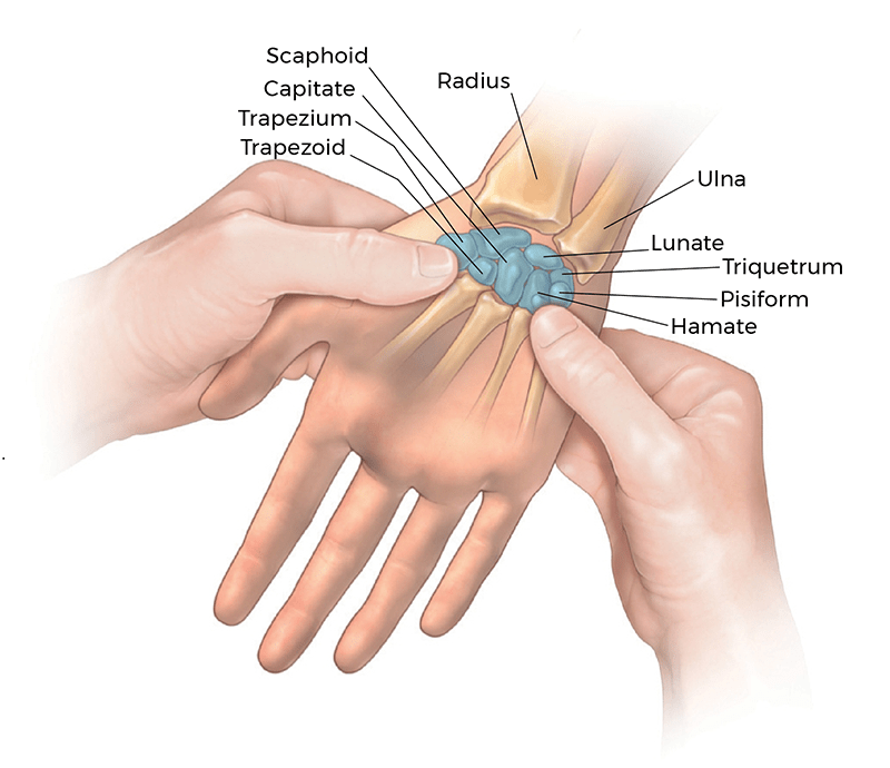 MA21_TheCarpalTunnel3