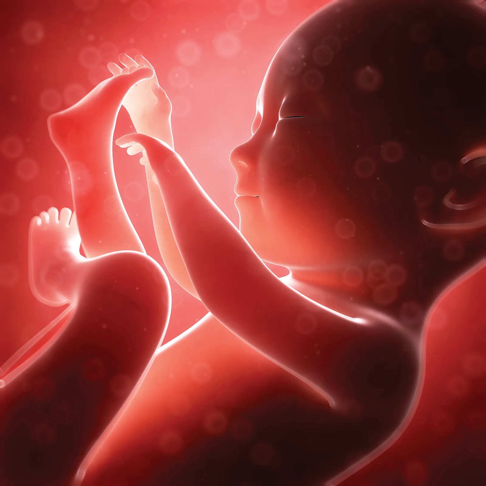 ND_15_MomToBe_Secondary1_shutterstock_1600