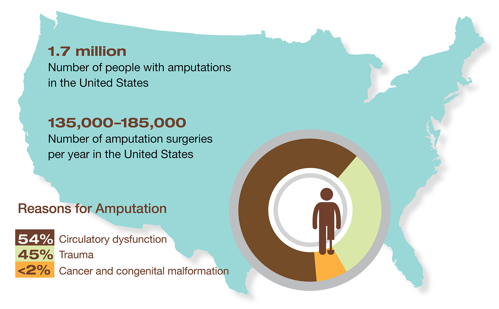 ND_14_Pathology_Secondary1_Infographic_1600 ND_14_Pathology_Secondary1_Infographic_1600