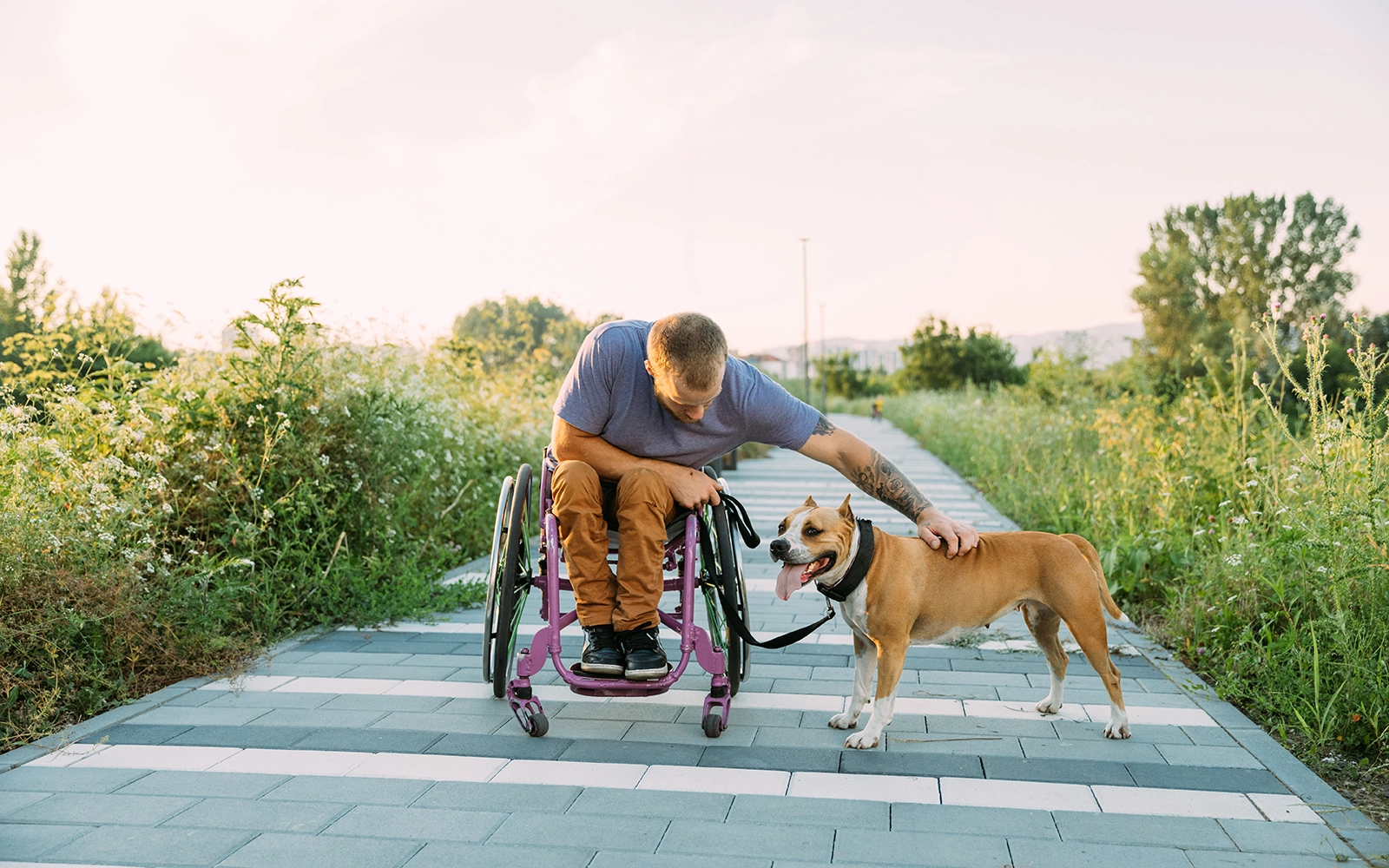 MA20_Clients with Service Animals 