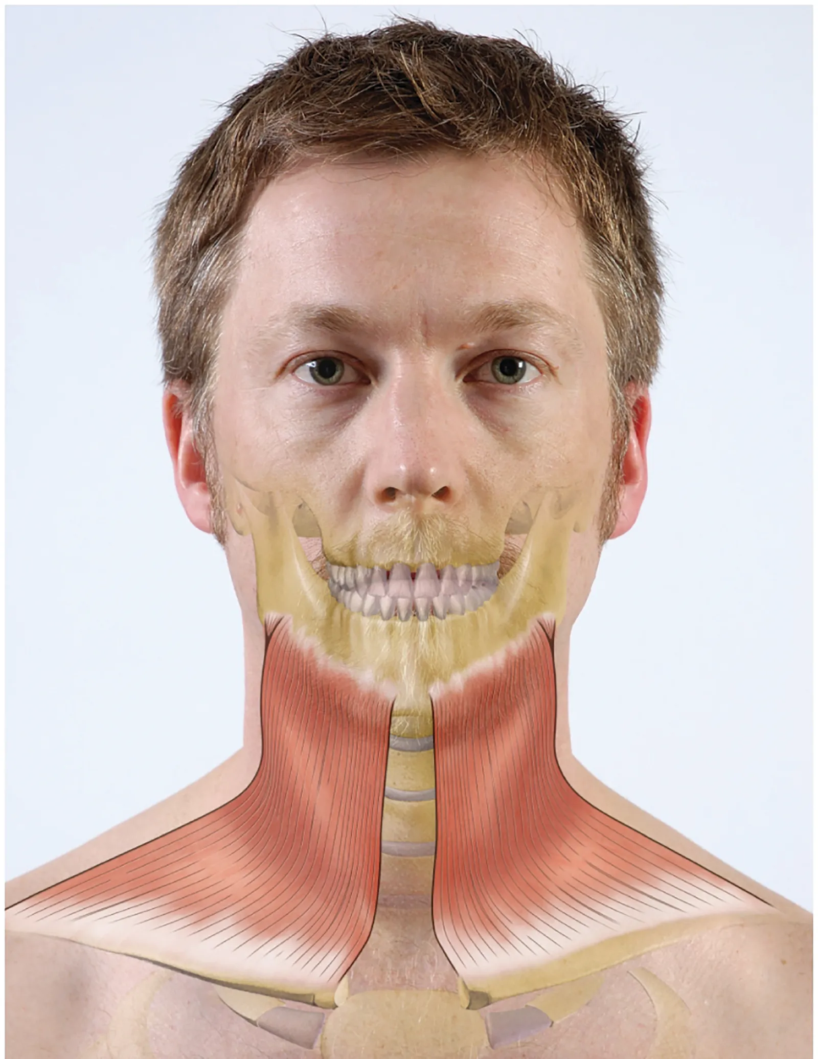 MA_15_Functional_Main_1600