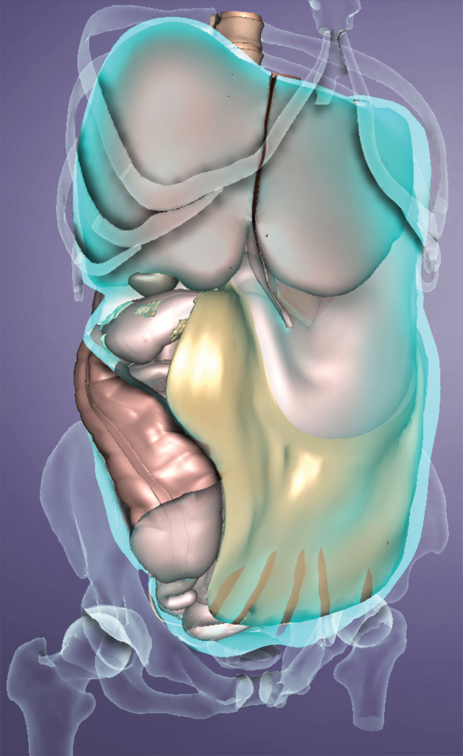MA_15_Myofascial5_1600