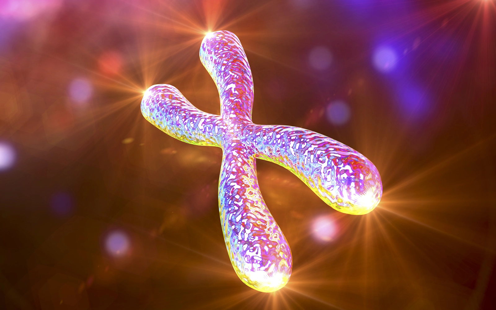 JF20_Chronic Stress1