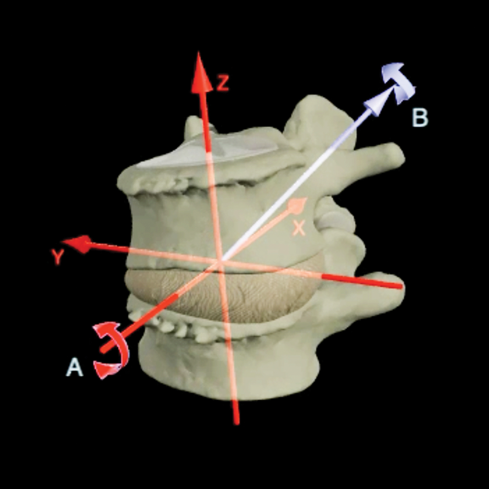 SO_15_Myofascial4_1600
