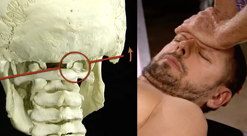JA18_Postural5